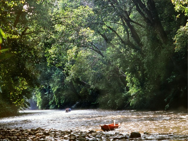 Taman Negara